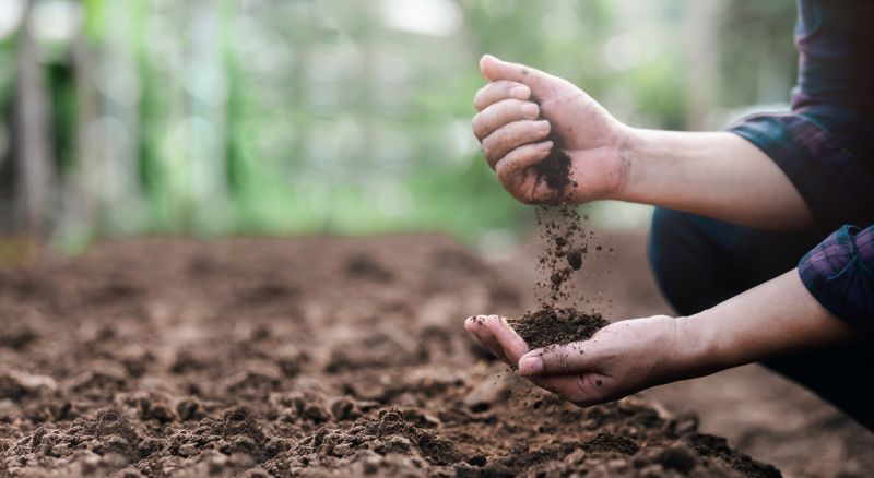 Gardening Service