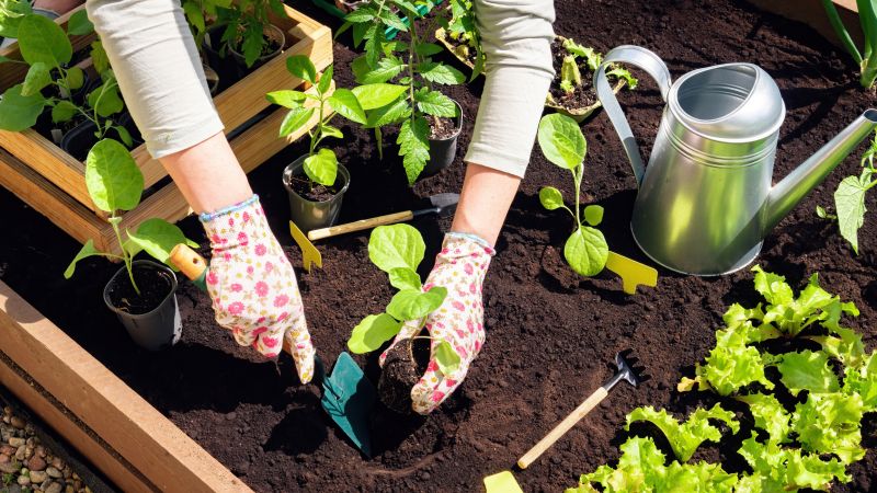 Gardening Service