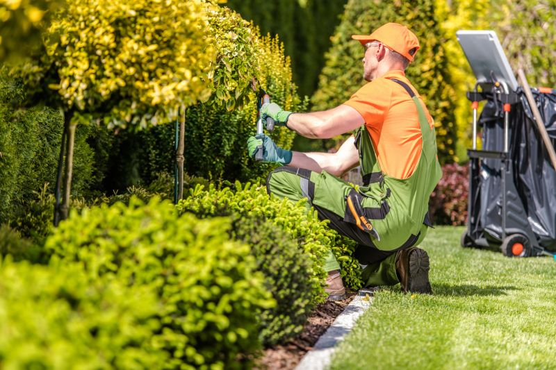 Hedge Installation