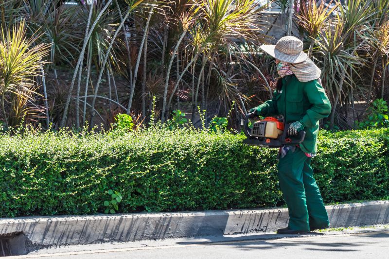 Hedge Installation