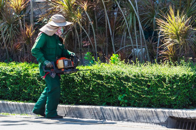 Hedge Installation