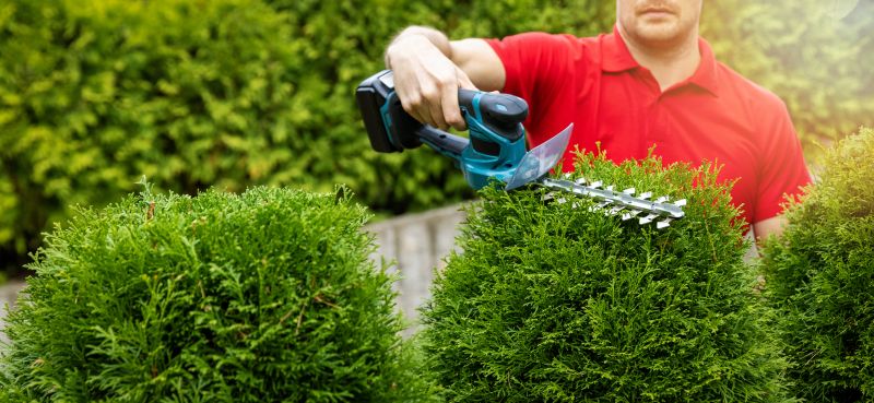 Hedge Installation