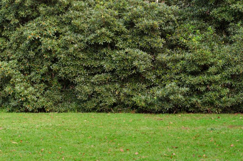 Hedge Installation