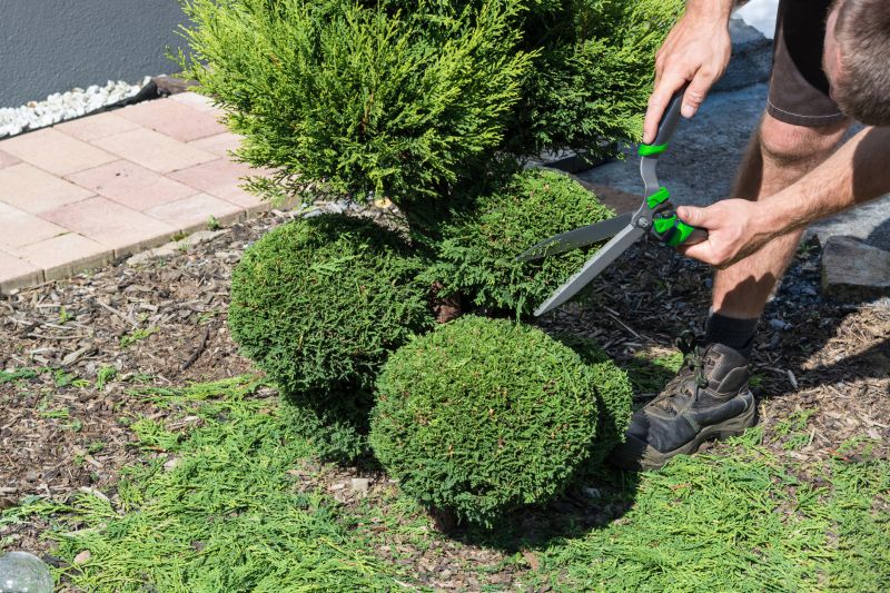 Shrub Replacement