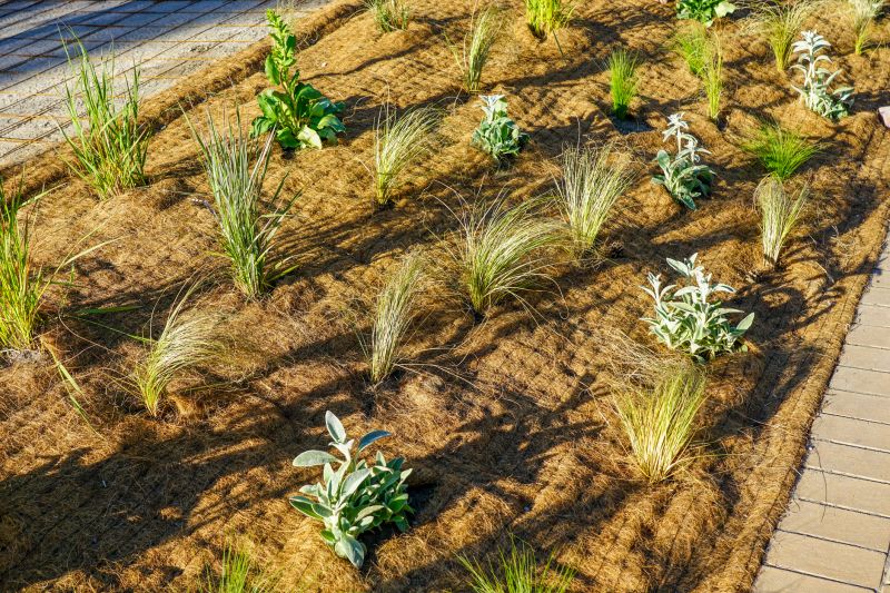 Weeding And Mulching