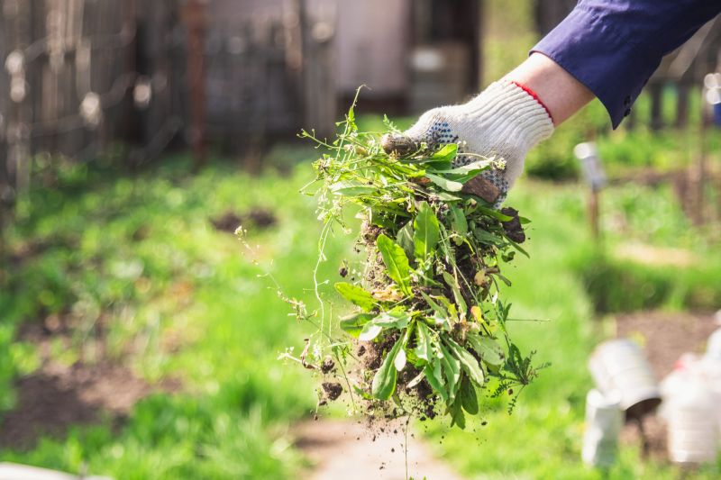 Weeding And Mulching