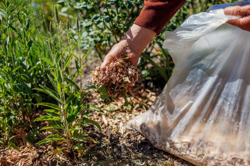 Weeding And Mulching