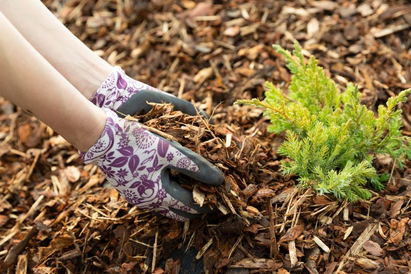 Weeding And Mulching